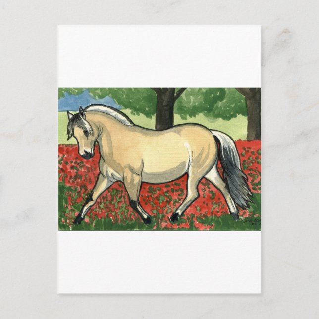 Postal Fjord HORSE ART noruego (Anverso)
