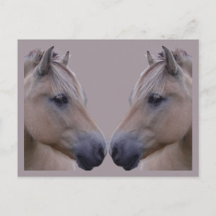 Postal Fjord noruego