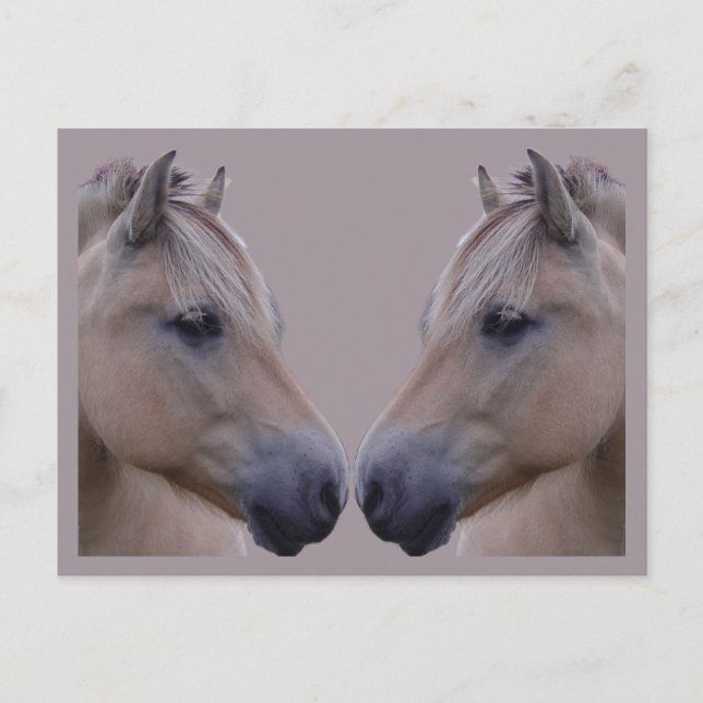 Postal Fjord noruego (Anverso)