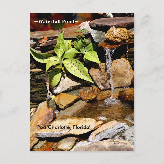 Postal FL Port Charlotte (Anverso)