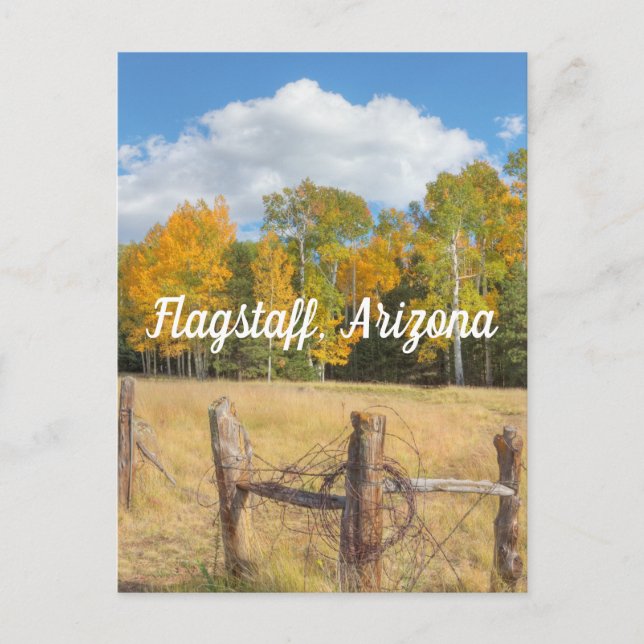 Postal Flagstaff meadow (Anverso)