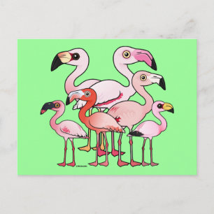 Postal Flamboyancia