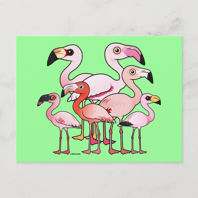 Postal Flamboyancia (Anverso)