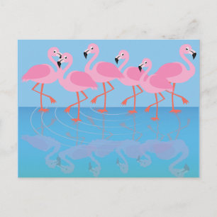Postal Flamboyancia de flamencos