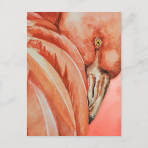 Postal Flamenco 
