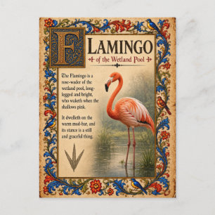 Postal Flamenco, Arte de Bestiario Medieval