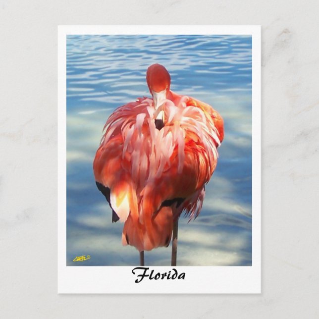 Postal Flamencos (Anverso)