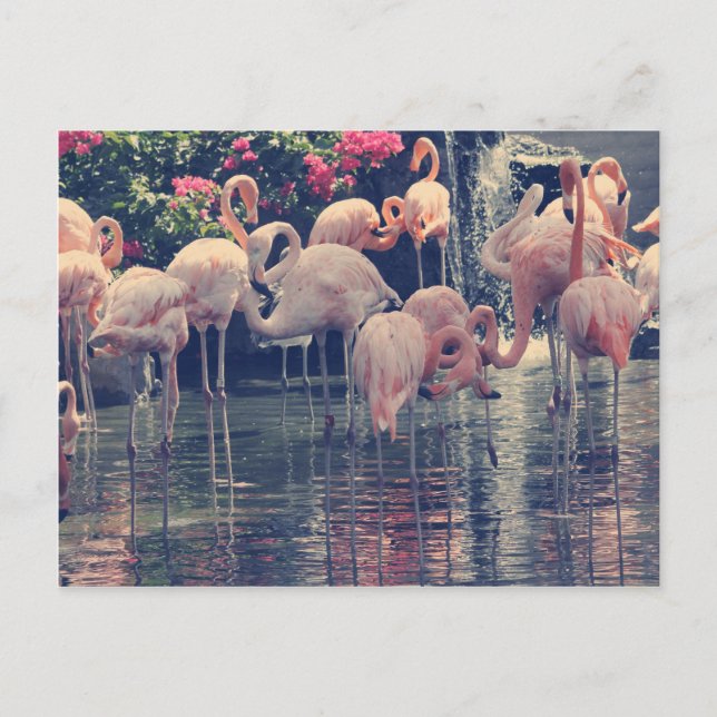 Postal Flamencos (Anverso)