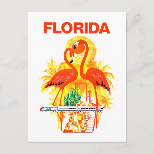 Postal Flamencos del poster del viaje de la Florida del (Anverso)