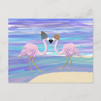 Postal Flamencos en gorras hechos punto