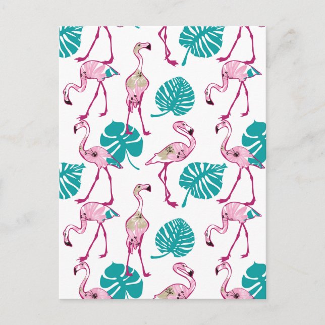 Postal Flamencos rosados (Anverso)