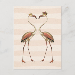 Postal Flamencos rosas en las cuerdas