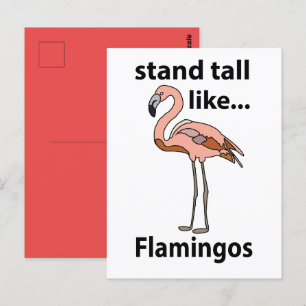 Postal Flamencos Se Mantienen Erguidos Como Flamencos Fla