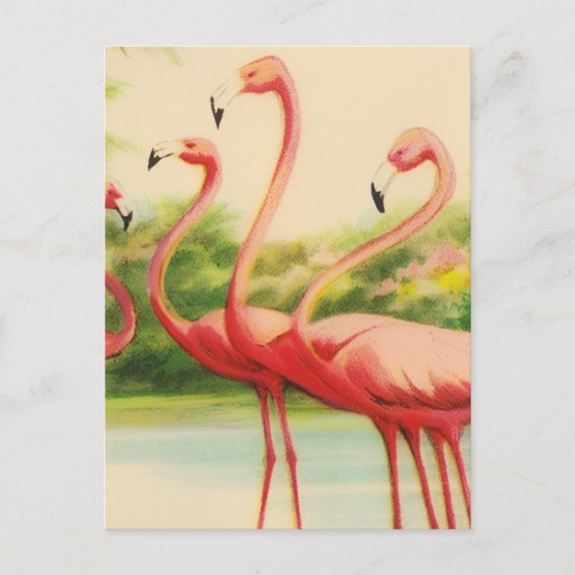 Postal Flamencos Vintage (Anverso)