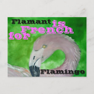 Postal Flamingo