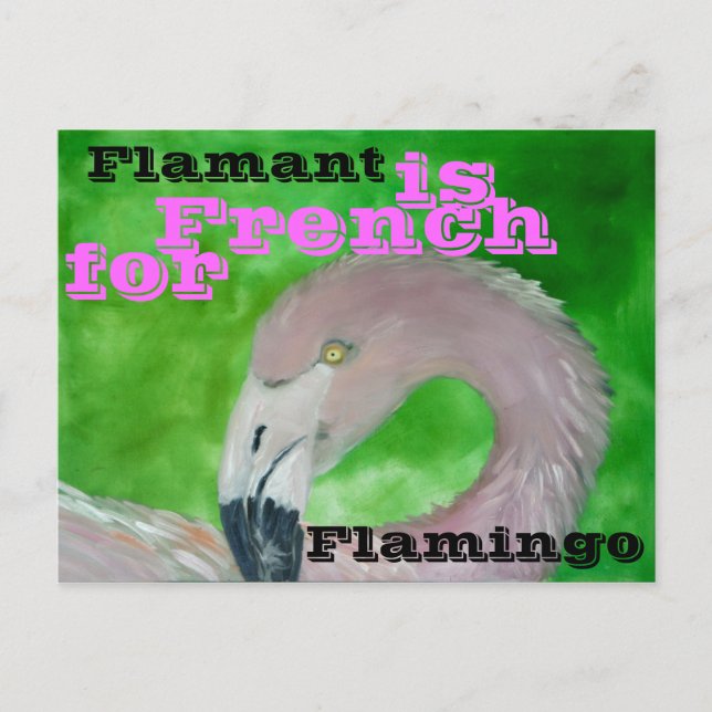 Postal Flamingo (Anverso)