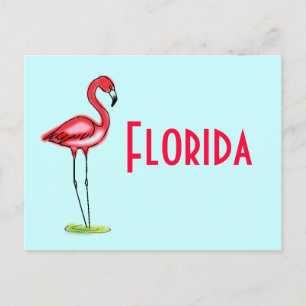 Postal Flamingo