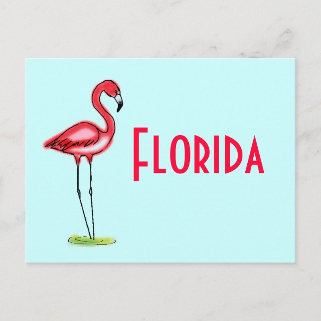 Postal Flamingo (Anverso)