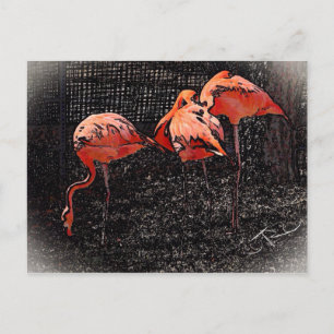 Postal Flamingo