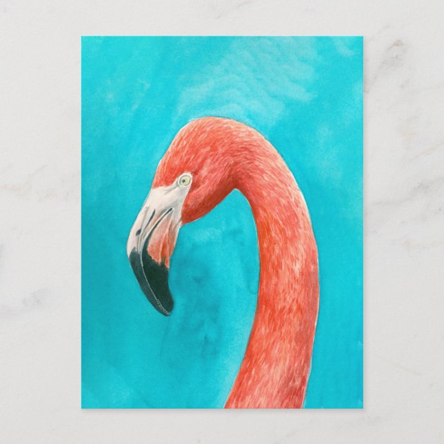 Postal Flamingo (Anverso)