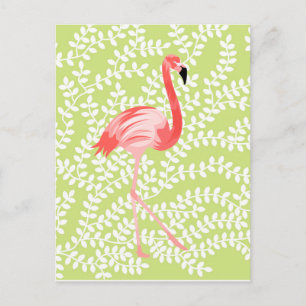 Postal Flamingo