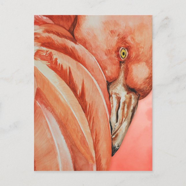 Postal Flamingo (Anverso)