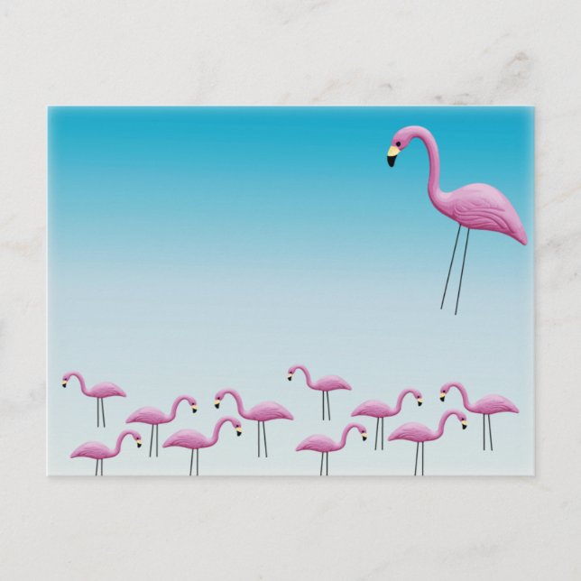 Postal Flamingo (Anverso)