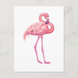 Postal Flamingo 2