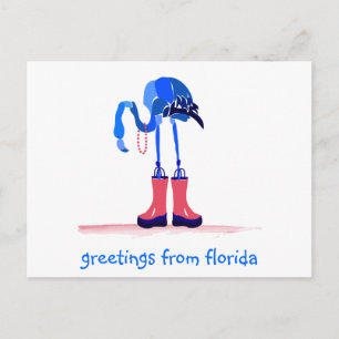 Postal Flamingo azul, saludos desde Florida