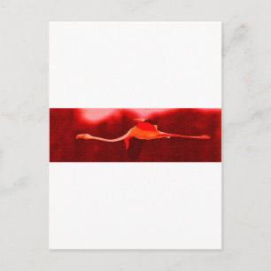 Postal Flamingo Bird