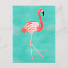 Postal Flamingo Bird