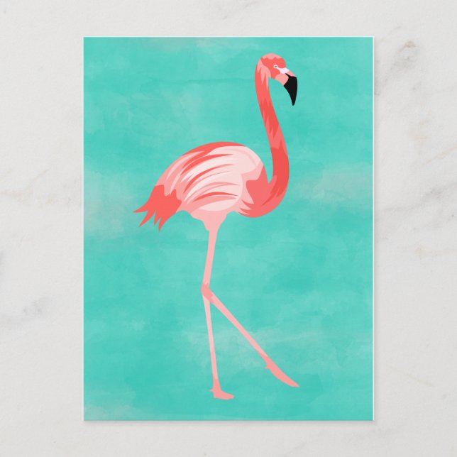 Postal Flamingo Bird (Anverso)