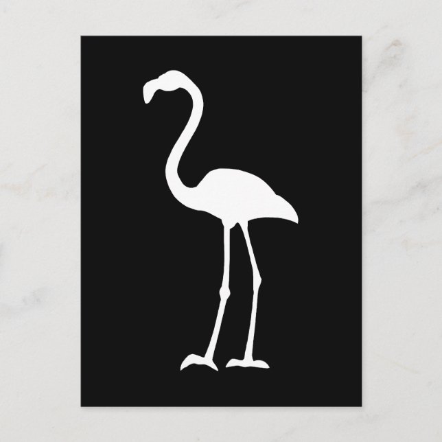 Postal Flamingo blanco y negro (Anverso)