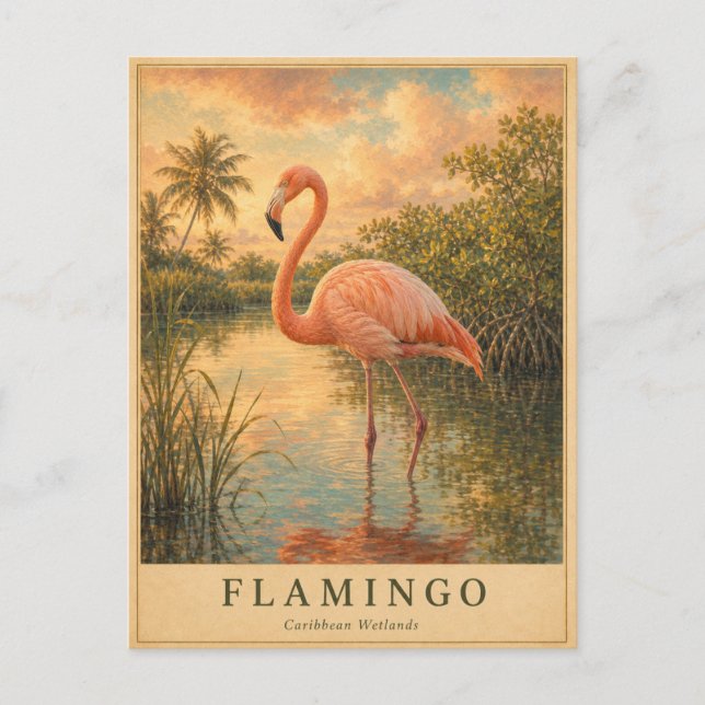 Postal Flamingo Caribbean Wetlands VINTAGE (Anverso)