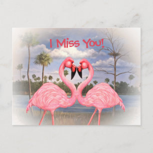 Postal Flamingo Dance