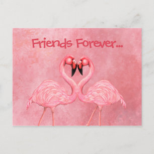 Postal Flamingo Dance