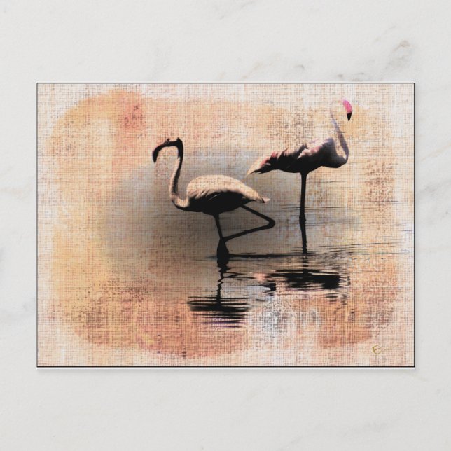 Postal Flamingo Dreams (Anverso)