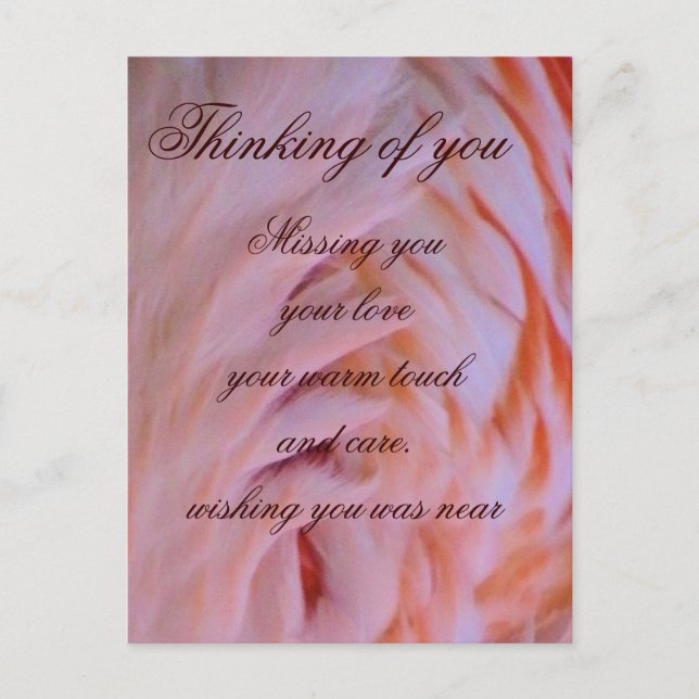 Postal Flamingo feathers_ (Anverso)