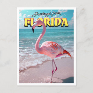 Postal Flamingo Florida