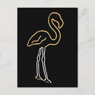 Postal Flamingo fluorescente