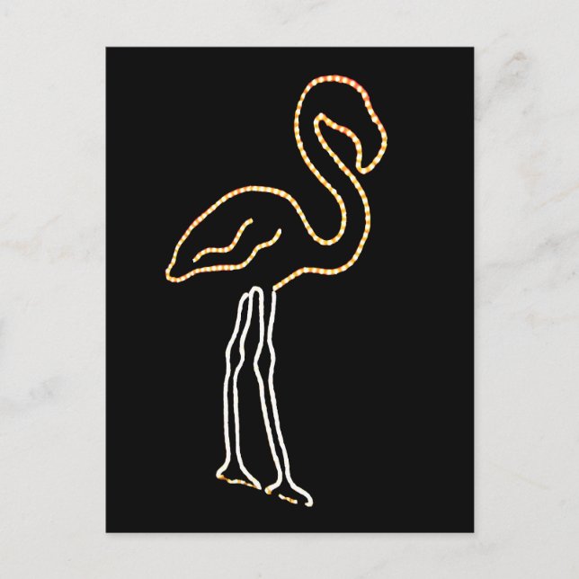 Postal Flamingo fluorescente (Anverso)