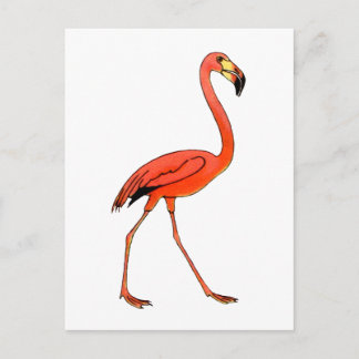 Postal Flamingo rosa