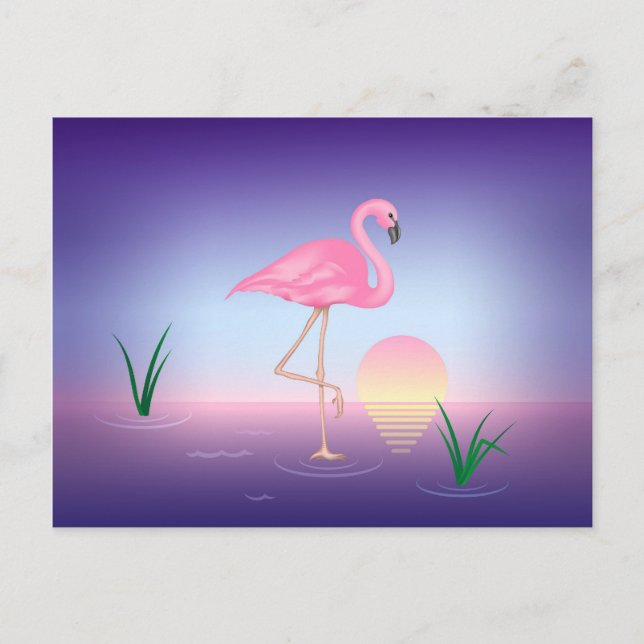 Postal Flamingo rosa (Anverso)