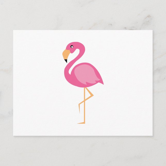 Postal Flamingo rosa (Anverso)
