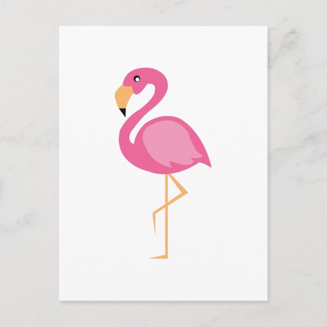Postal Flamingo rosa (Anverso)