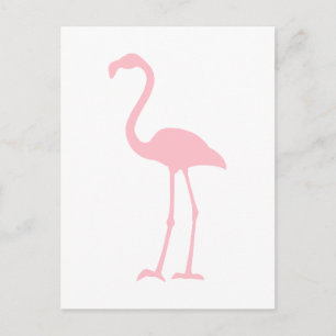 Postal Flamingo rosa