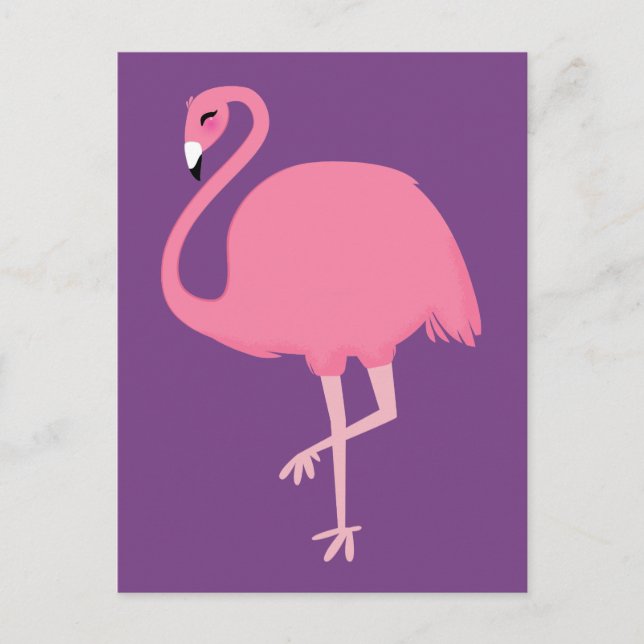 Postal Flamingo rosa (Anverso)