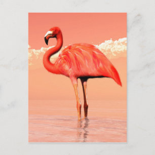 Postal Flamingo rosa