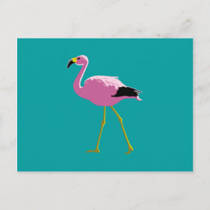 Postal Flamingo rosa