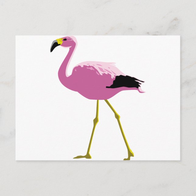 Postal Flamingo rosa (Anverso)
